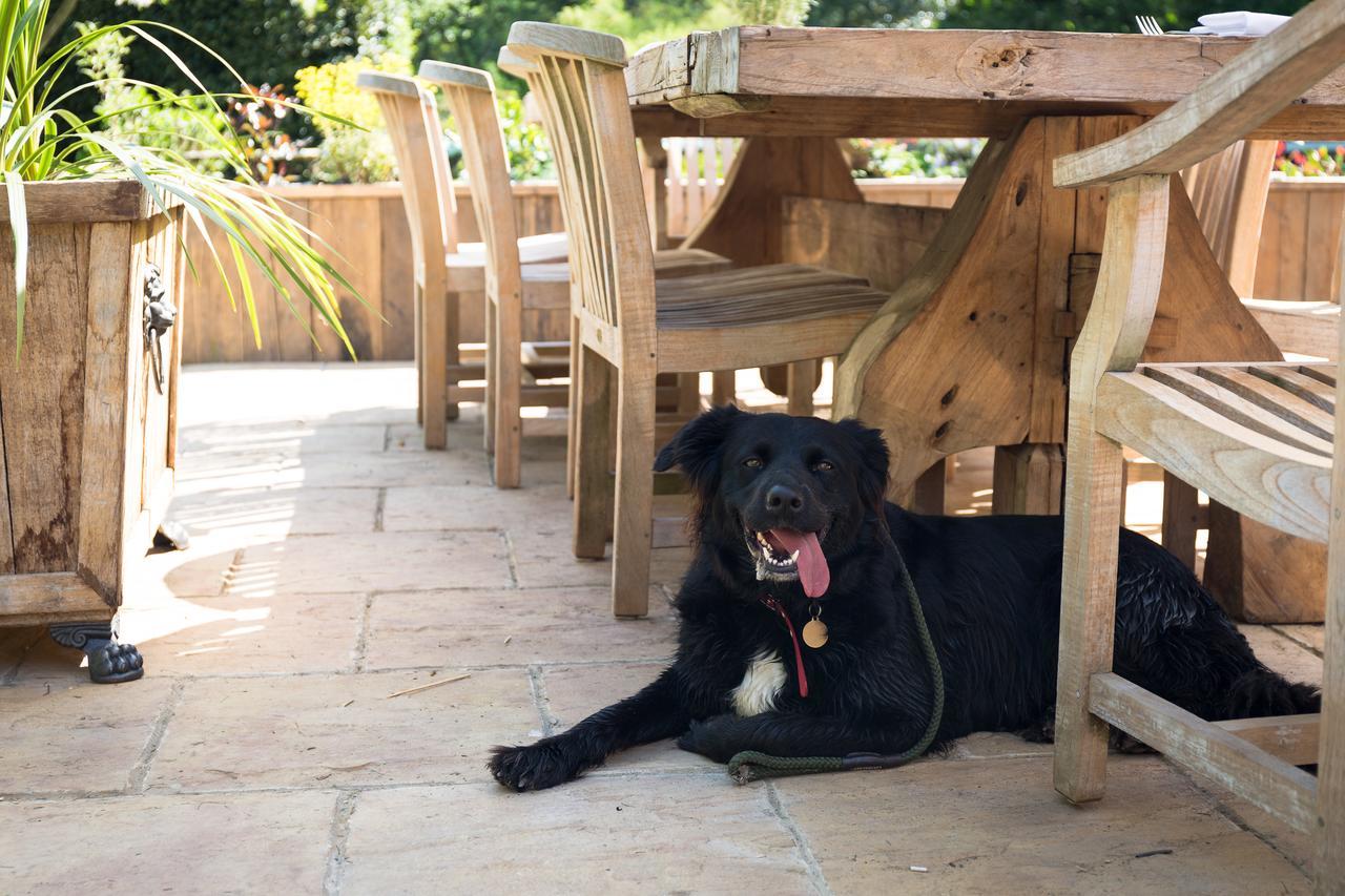 The Dundas Arms Kintbury Luaran gambar